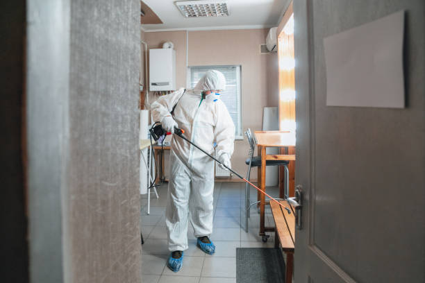 Best Dehumidification Services  in Sutton, NE