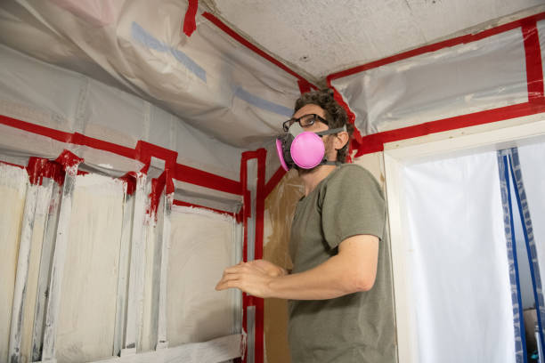 Best Biohazard Mold Removal  in Sutton, NE