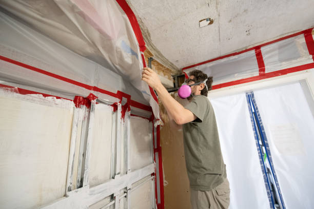 Best Post-Remediation Verification Testing  in Sutton, NE