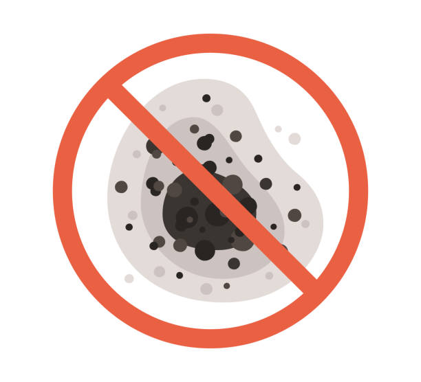 Best Mold Remediation for Healthcare Facilities  in Sutton, NE