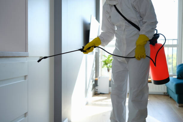 Professional Mold Removal in Sutton, NE