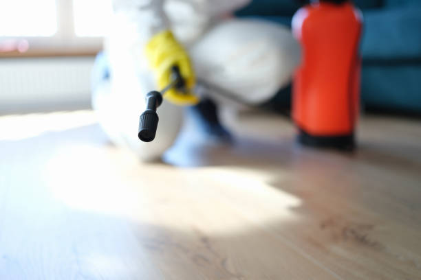 Best Black Mold Removal  in Sutton, NE